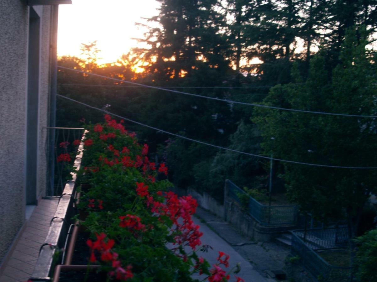 B&B Mamma Elena Rovito Dış mekan fotoğraf