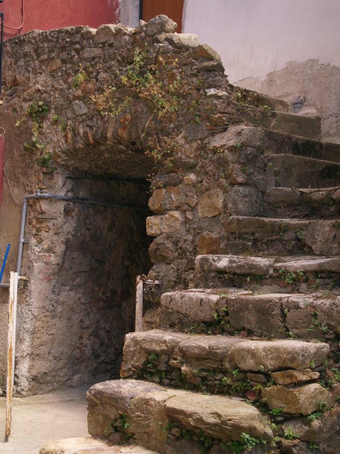 B&B Mamma Elena Rovito Dış mekan fotoğraf
